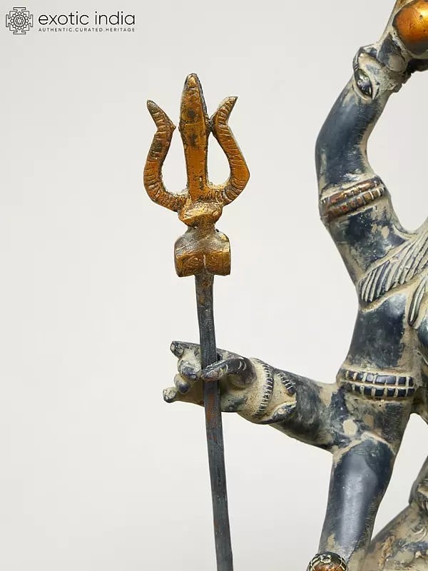 Exotic India 10" Six Armed Mahamrityunjaya Mahadev | Brass Statue 