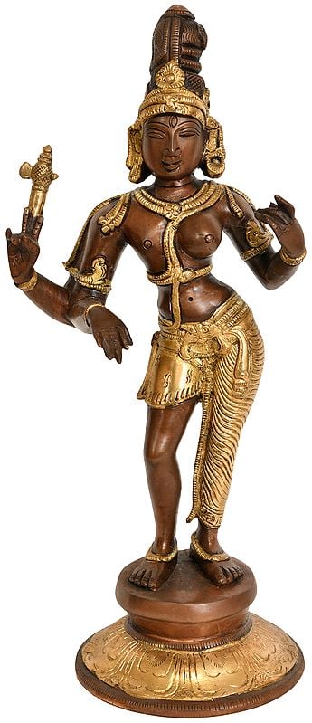 exotic india 11" Ardhanarishvara Brass Sculpture | Handmade Idol | Made in India 