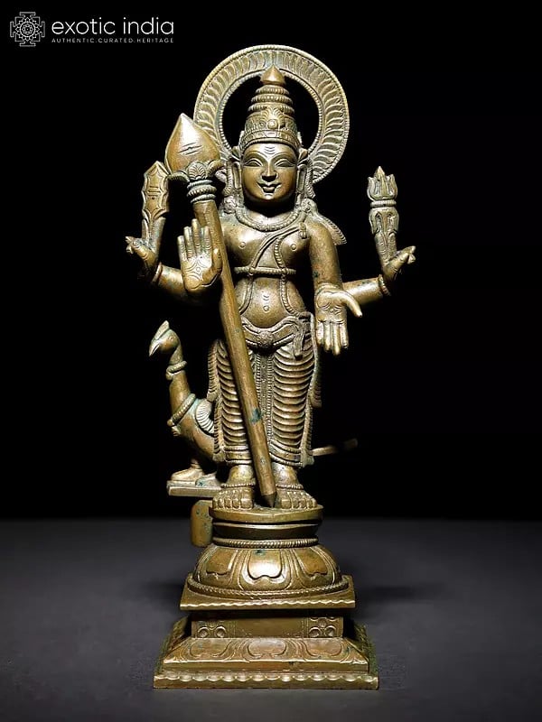 exotic india 11 " Standing Lord Kartikeya in Blessing Gesture | Murugan Bronze Statue 