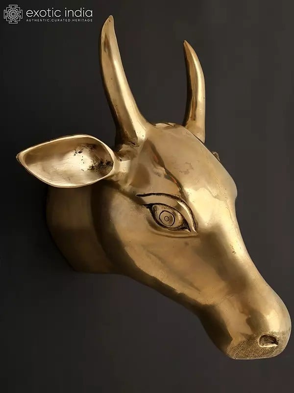 Exotic India 11" Wall Hanging Cow Head In Brass | Home Decor 