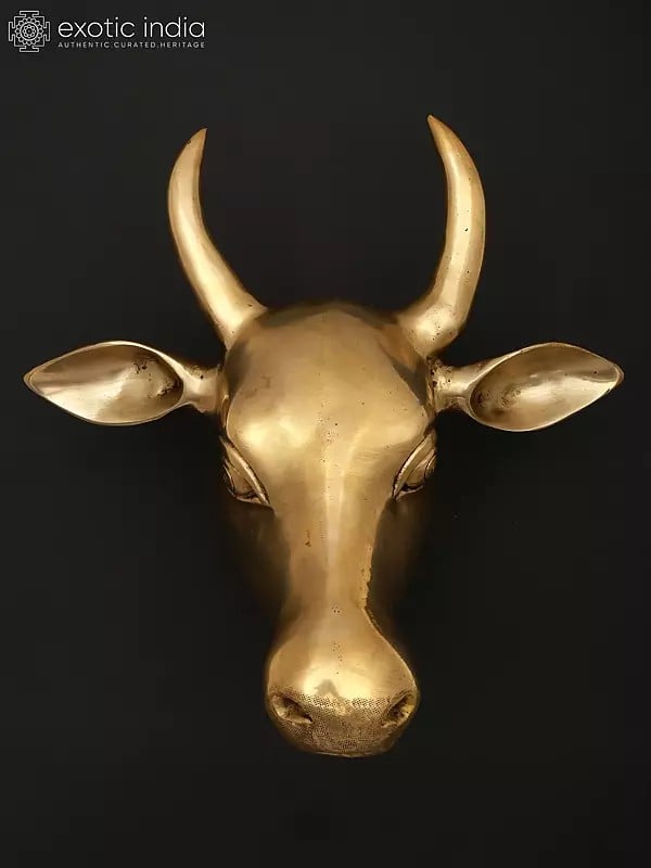 Exotic India 11" Wall Hanging Cow Head In Brass | Home Decor 