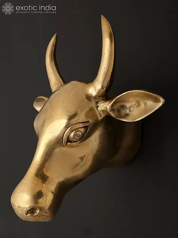 exotic india 11" Wall Hanging Cow Head in Brass | Home Decor