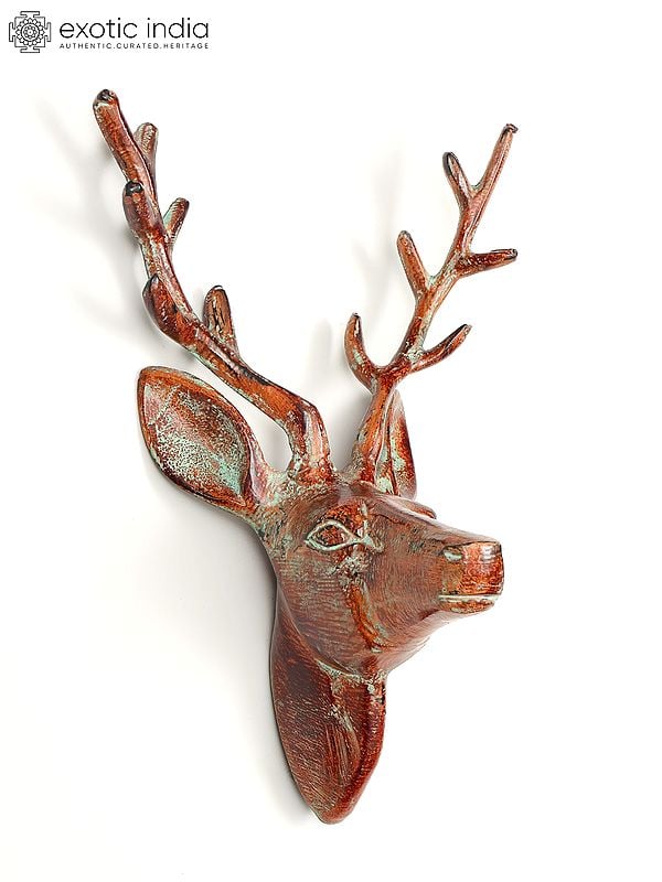 Exotic India 12" Brass Deer Head | Wall Hanging | Home Decor 