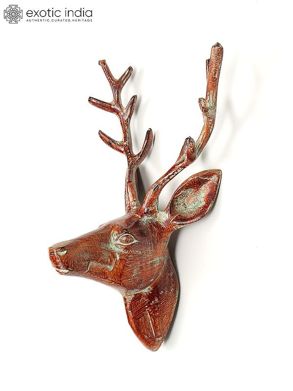 Exotic India 12" Brass Deer Head | Wall Hanging | Home Decor 