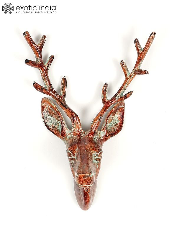 exotic india 12" Brass Deer Head | Wall Hanging | Home Decor 
