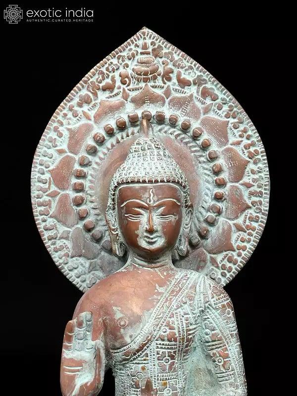 Exotic India 13" Shakyamuni Buddha In Abhaya Mudra | Brass Statue 