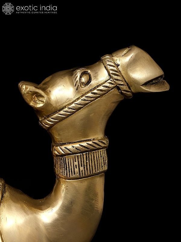 Exotic India 13" Sitting Camel | Decorative Brass Statue | Table Decor