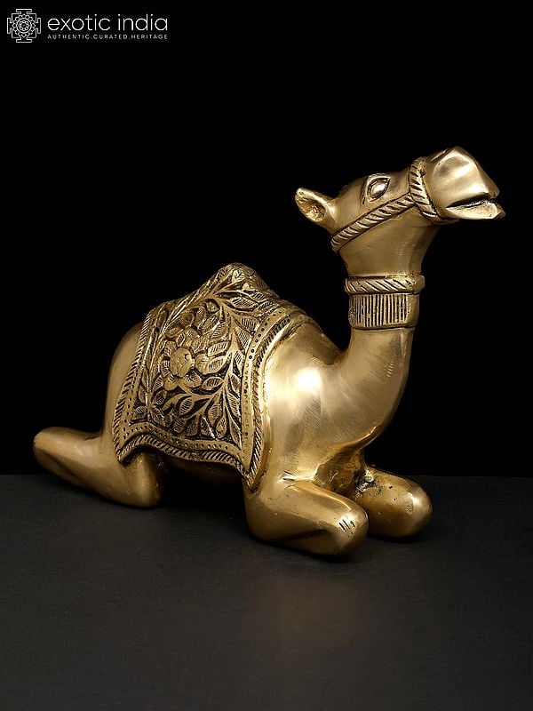 Exotic India 13" Sitting Camel | Decorative Brass Statue | Table Decor