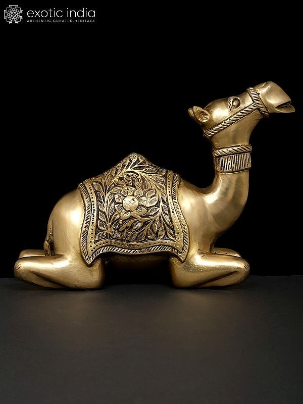 exotic india 13" Sitting Camel | Decorative Brass Statue | Table Decor 
