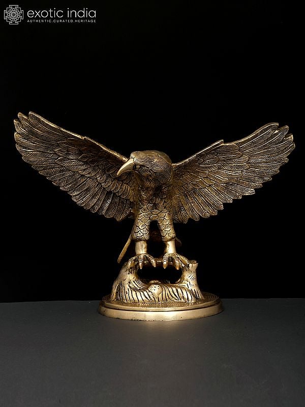 exotic india 16" Brass Eagle with Open Wings | Brass Statue | Home Decor 