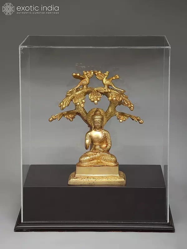 exotic india 17" Brass Lord Buddha Seated Under The Bodhi Tree | With Box 