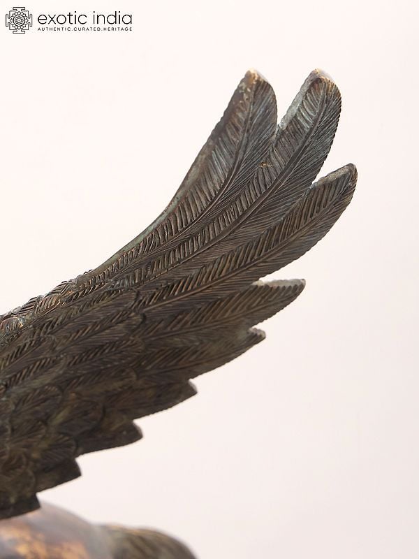 Exotic India 17" Brass Pegasus – Decorative Mythical Horse Sculpture | Home Decor 