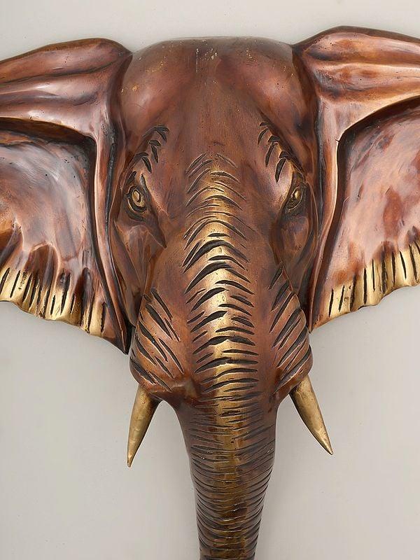 Exotic India 18" Decorative Elephant Head In Brass | Wall Hanging | Home Decor 