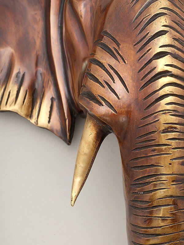 Exotic India 18" Decorative Elephant Head In Brass | Wall Hanging | Home Decor 