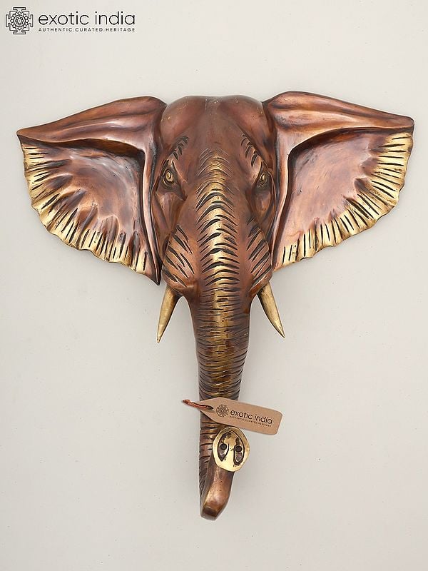 exotic india 18" Decorative Elephant Head in Brass | Wall Hanging | Home Decor 
