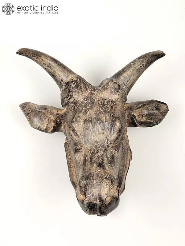 Exotic India 19" Brass Fighting Bull Head | Wall Hanging | Home Decor