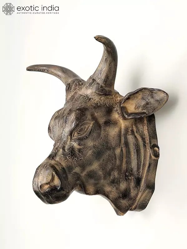 Exotic India 19" Brass Fighting Bull Head | Wall Hanging | Home Decor
