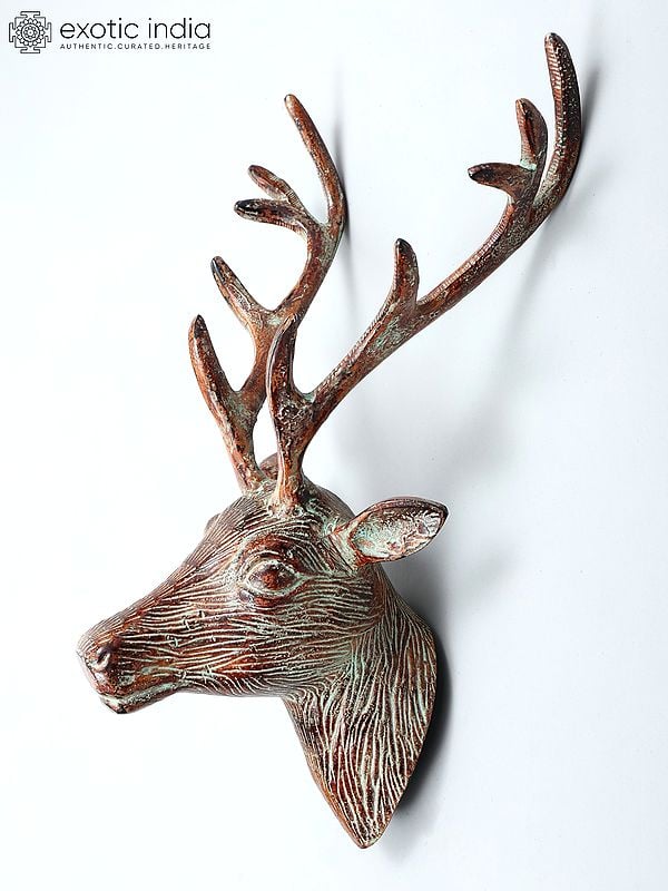 exotic india 19" Reindeer Head in Brass | Wall Hanging 