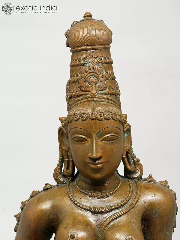 Exotic India 19" Superfine Sitting Goddess Parvati (Bhoga Shakti) | Madhuchista Vidhana (Lost-Wax) | Panchaloha Bronze From Swamimalai 