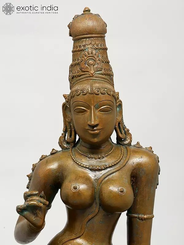 Exotic India 19" Superfine Sitting Goddess Parvati (Bhoga Shakti) | Madhuchista Vidhana (Lost-Wax) | Panchaloha Bronze From Swamimalai 