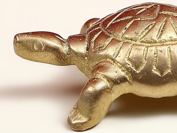 Exotic India 2" Golden-shaded Glittering Small Brass Vastu Tortoise 