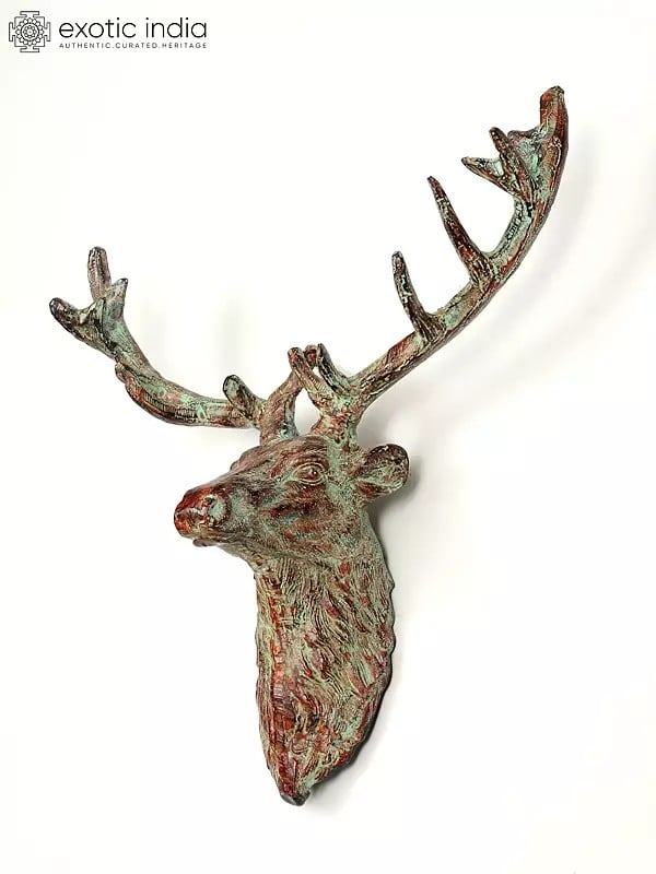 Exotic India 20" Brass Deer Wall Hanging Head | Home Decor 