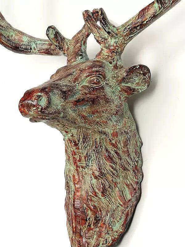 Exotic India 20" Brass Deer Wall Hanging Head | Home Decor 