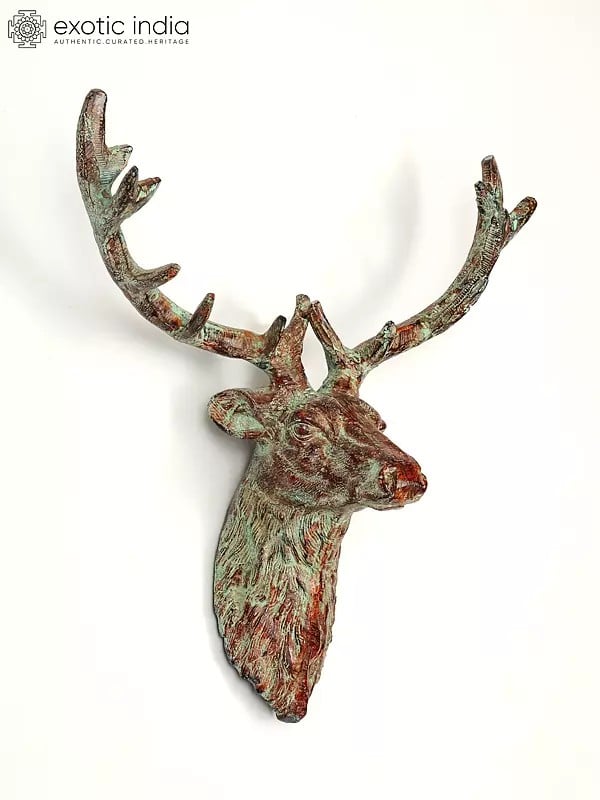 exotic india 20" Brass Deer Wall Hanging Head | Home Decor 