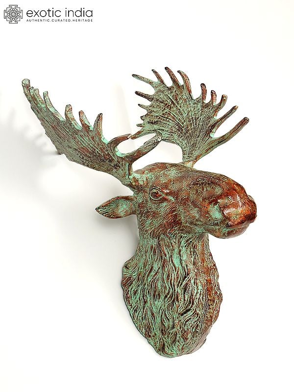 Exotic India 20" Brass Moose Head | Wall Hanging | Home Decor 