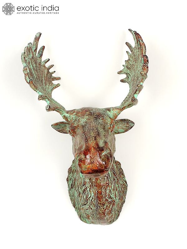 exotic india 20" Brass Moose Head | Wall Hanging | Home Decor 