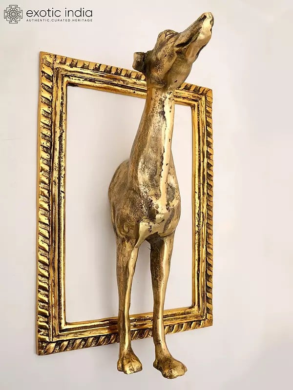 exotic india 21" Brass Wall Hanging Dog with Frame | Home Decor 