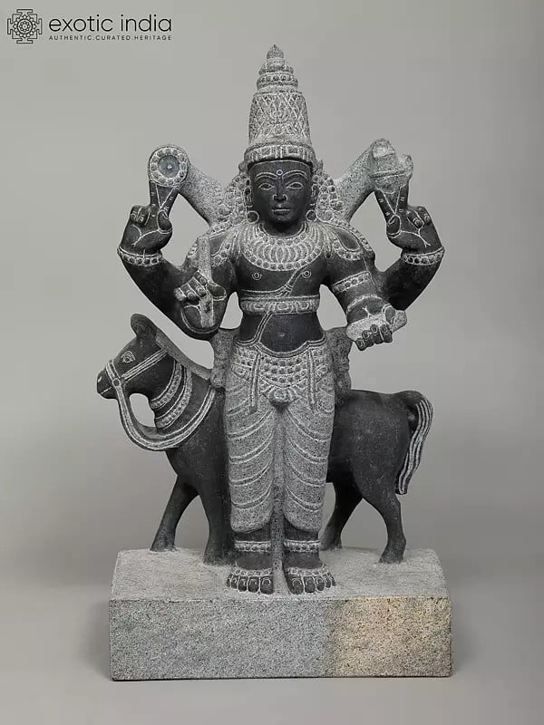 exotic india 21" Shukra Graha With Vahana - Planet | Black Granite Stone Statue 