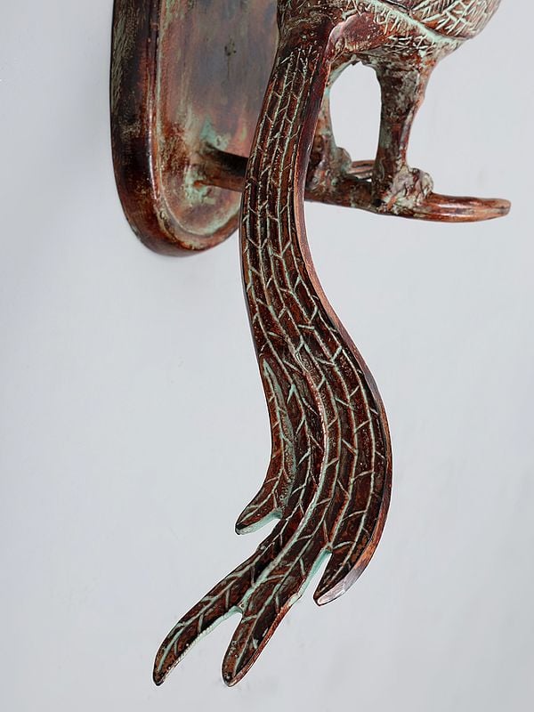 Exotic India 22" Emerson Brass Bird Wall Mount | Home Decor 