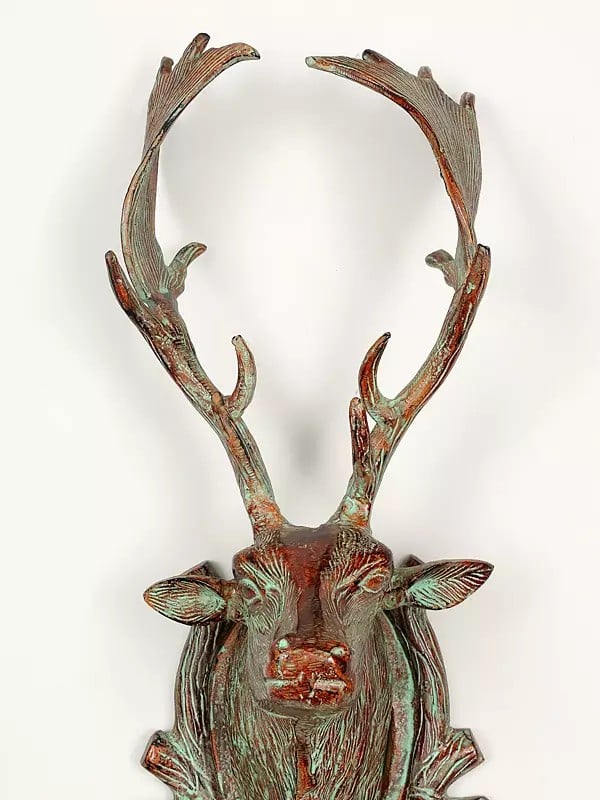 Exotic India 22" Wall Hanging Deer Head With Hooks | Home Decor 