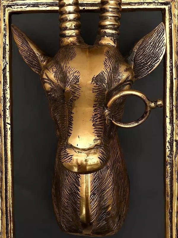 Exotic India 23" Brass Stylish Deer Head With Frame | Wall Hanging | Home Decor