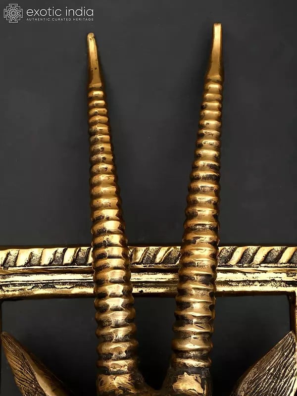 Exotic India 23" Brass Stylish Deer Head With Frame | Wall Hanging | Home Decor