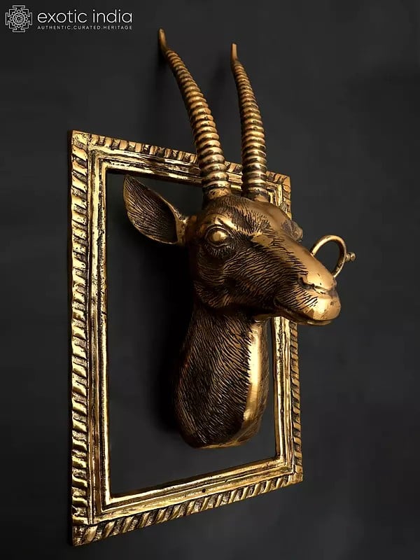 Exotic India 23" Brass Stylish Deer Head With Frame | Wall Hanging | Home Decor
