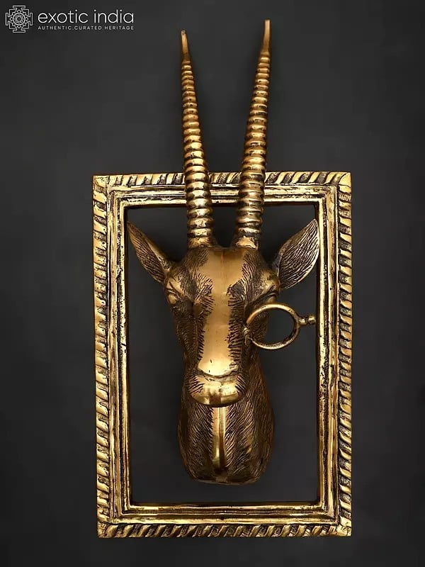 exotic india 23" Brass Stylish Deer Head with Frame | Wall Hanging | Home Decor 