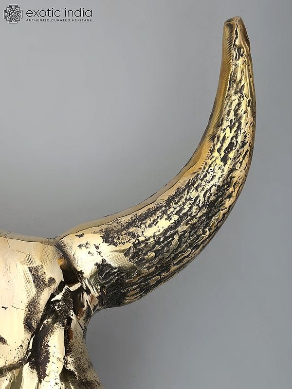 Exotic India 24" Brass Buffalo Skull | Wall Hanging | Home Decor