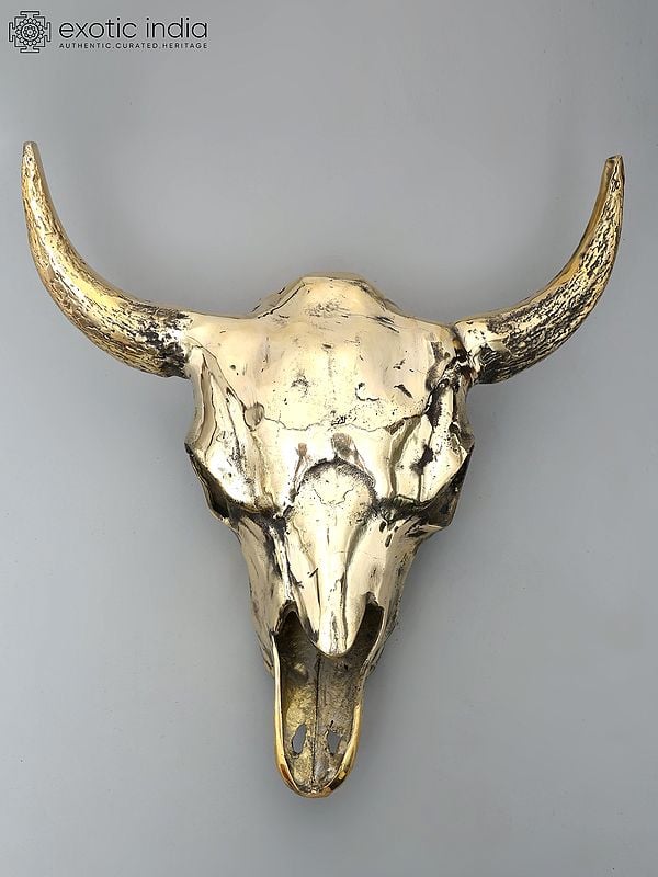 exotic india 24" Brass Buffalo Skull | Wall Hanging | Home Decor 
