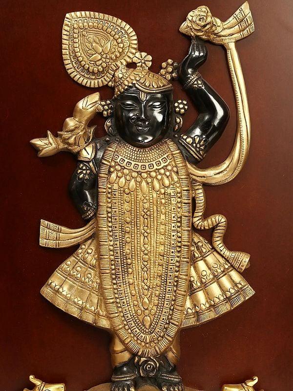 Exotic India 24" Brass Shrinath Ji In Wooden Frame | Wall Hanging 