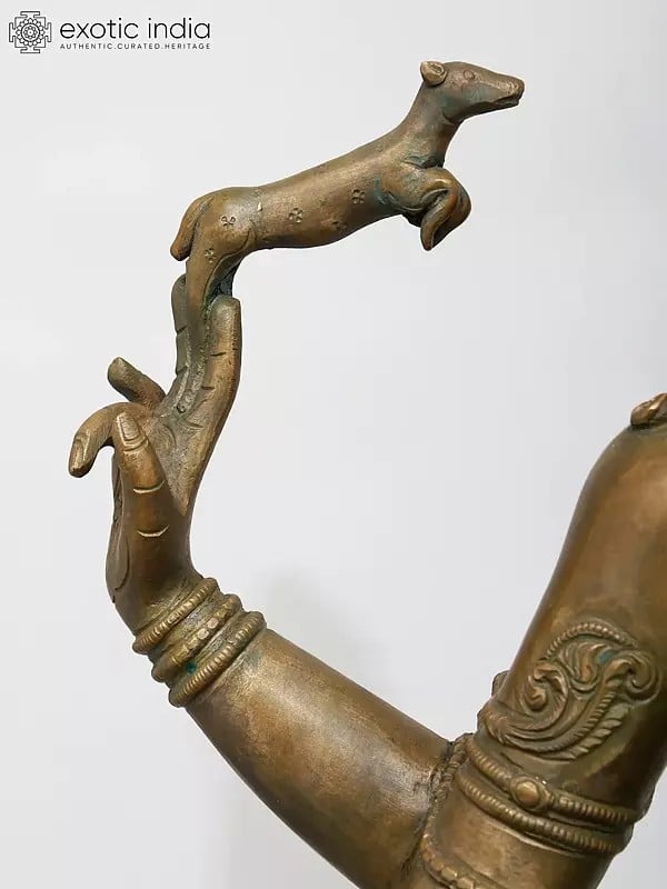 Exotic India 24" Lord Shiva As Pashupatinath | Madhuchista Vidhana (Lost-Wax) | Panchaloha Bronze From Swamimalai 