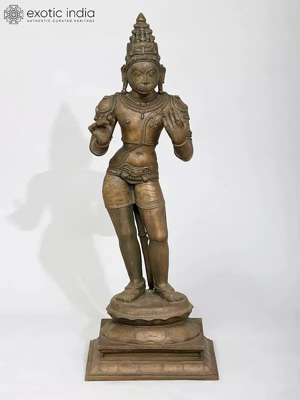 exotic india 24" Standing Lord Hanuman | Madhuchista Vidhana (Lost-Wax) | Panchaloha Bronze from Swamimalai 