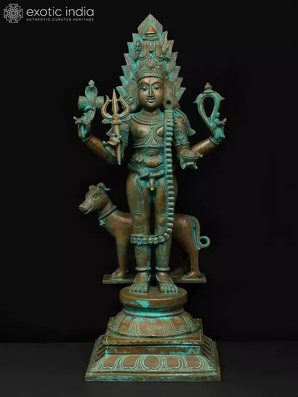 exotic india 24" Standing Lord Shiva as Bhairava | Bronze Statue 