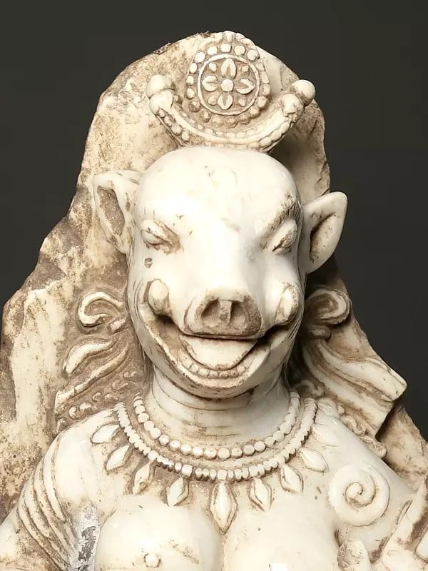 Exotic India 25" Vintage Matrika Varahi Statue On Wooden Stand | Modern Art Sculpture 
