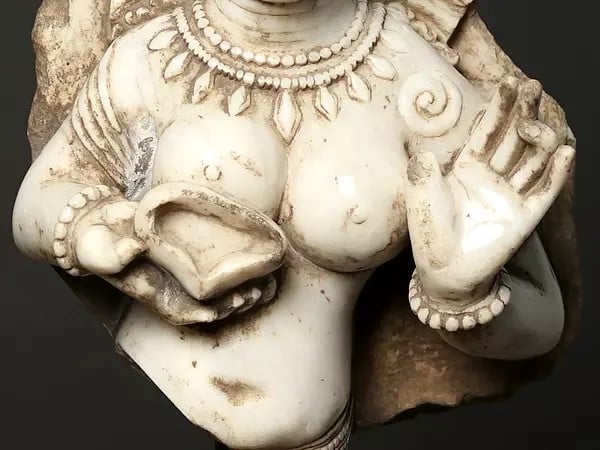 Exotic India 25" Vintage Matrika Varahi Statue On Wooden Stand | Modern Art Sculpture 