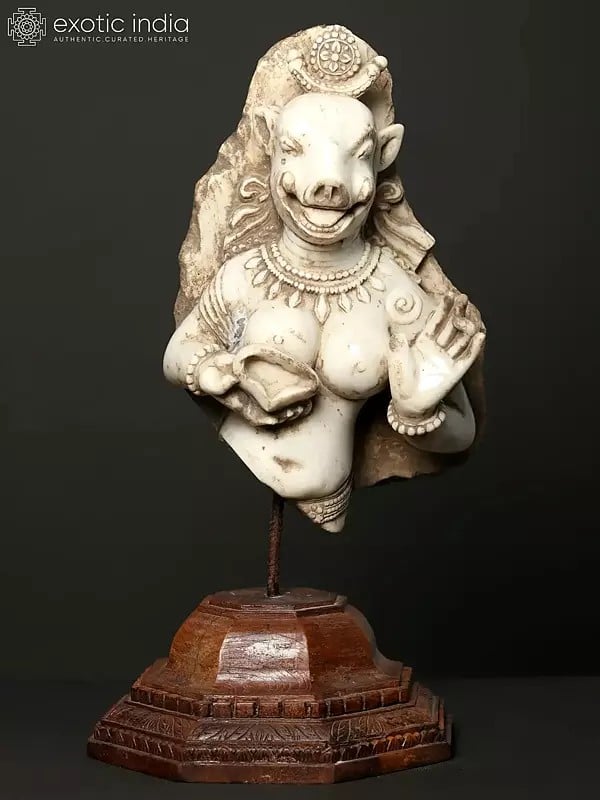 exotic india 25" Vintage Matrika Varahi Statue on Wooden Stand | Modern Art Sculpture 