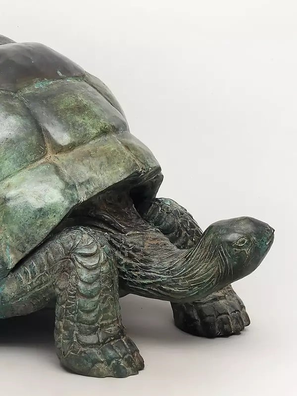Exotic India 29" Decorative Tortoise Statue In Brass | Large Decor Piece