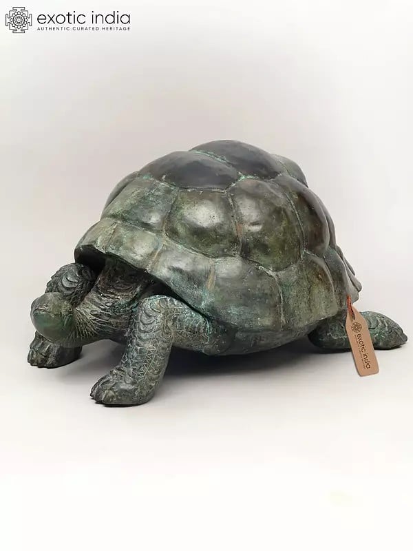 exotic india 29" Decorative Tortoise Statue in Brass | Large Decor Piece 
