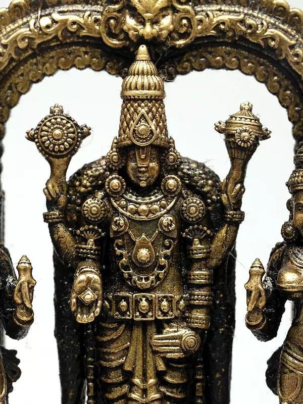 Exotic India 3" Small Superfine Lord Tirupati Balaji Standing On Kirtimukha Arch With Sridevi Bhudevi And Garuda | Made In Coimbatore | Ideal For Puja 